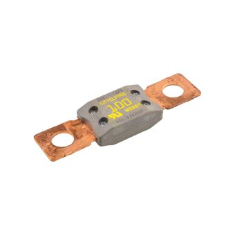 100A MEGA Fuse