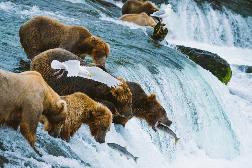 alaska