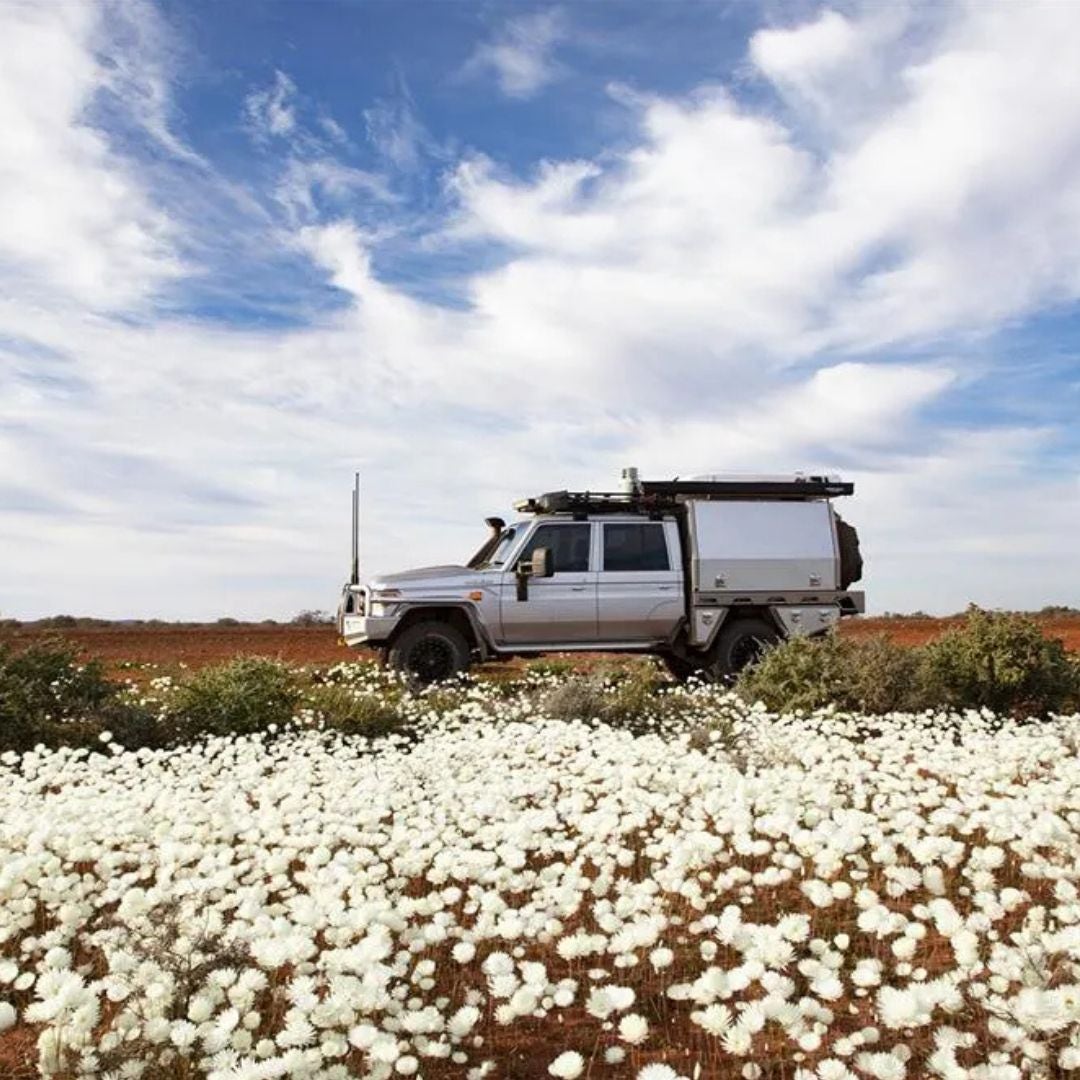 Off-road vehicle with a pop-up camper parked next to a large cactus in a desert landscape under a clear blue sky