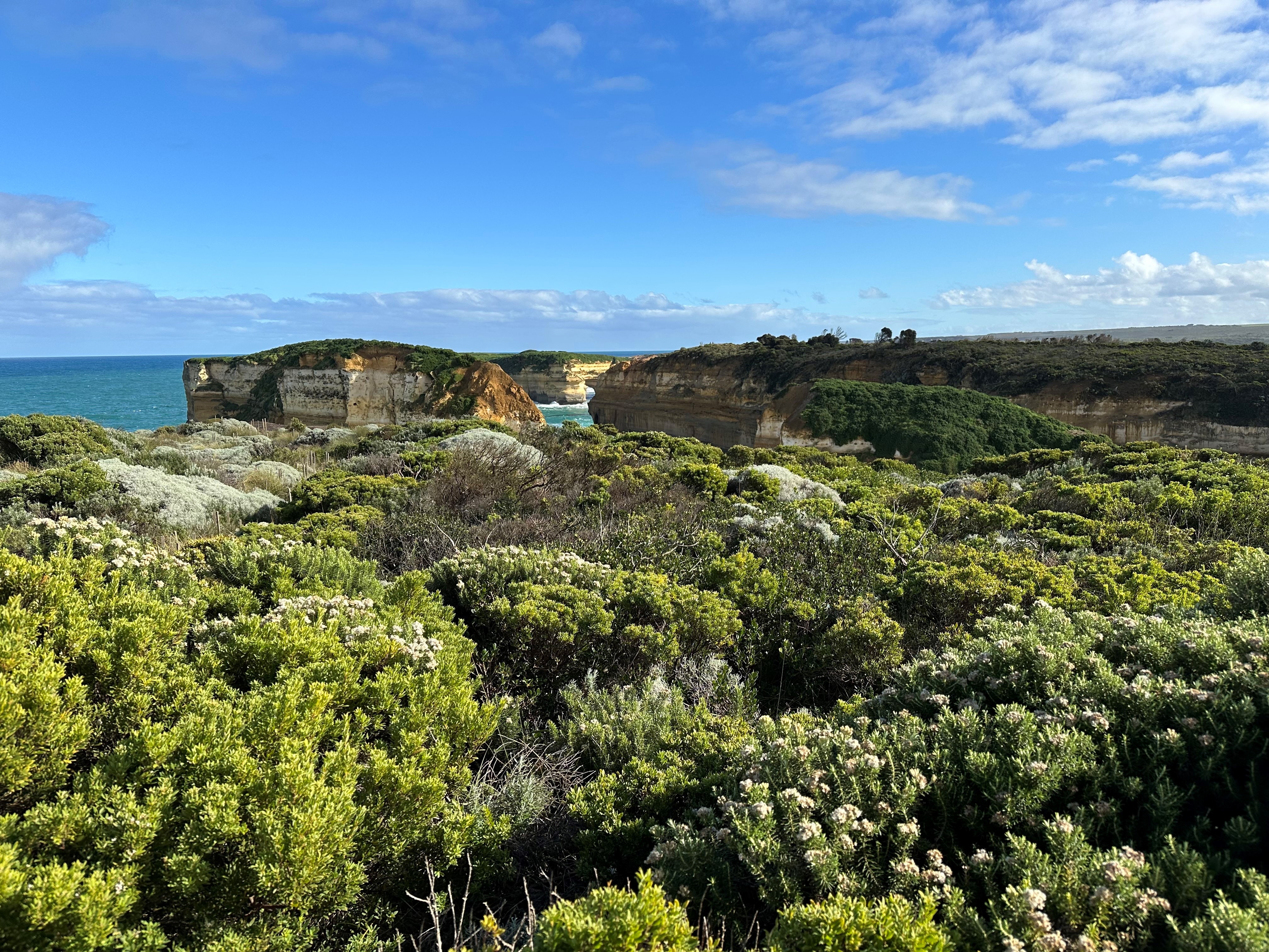 Where To Camp On The Great Ocean Road: Ocean View